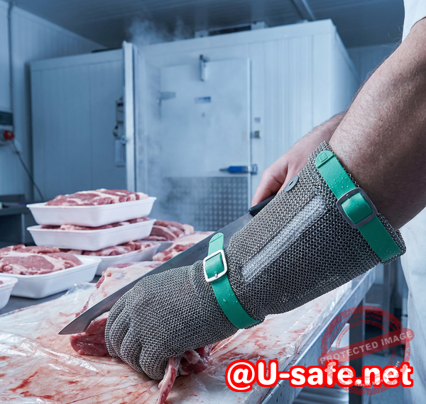Food Safety Guardian